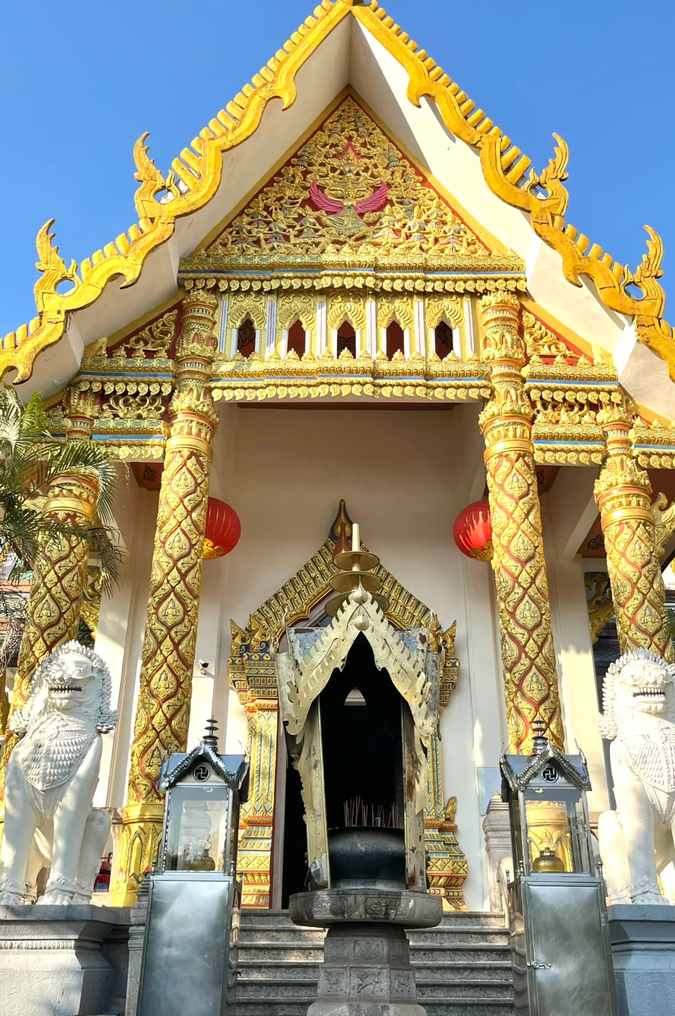 00000000USyCOrTBHyPepdMG