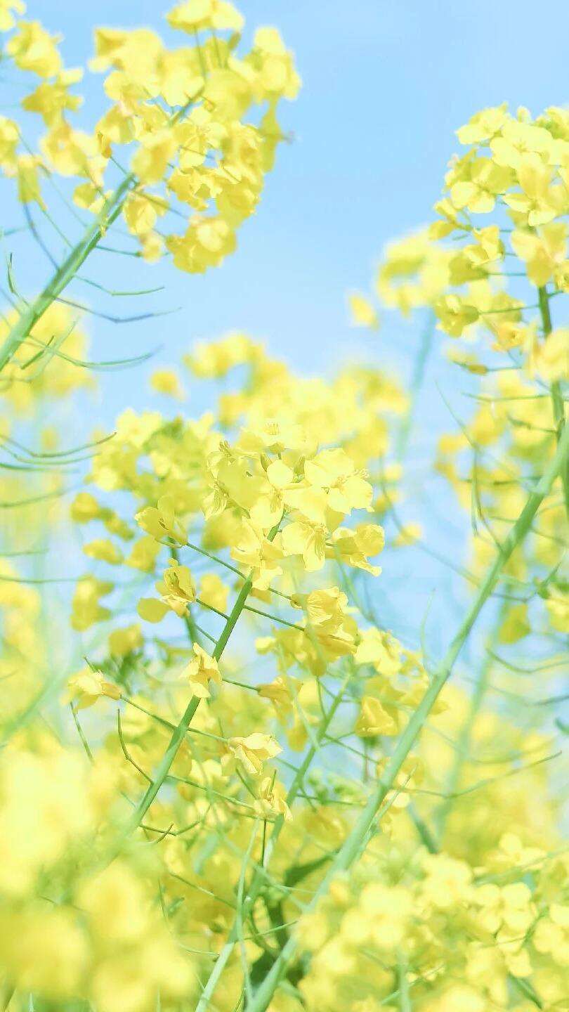 00000000UmDMrLIyceYRUmPG