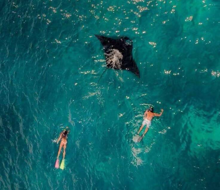 00000000VTEhRaPzatqKfARo