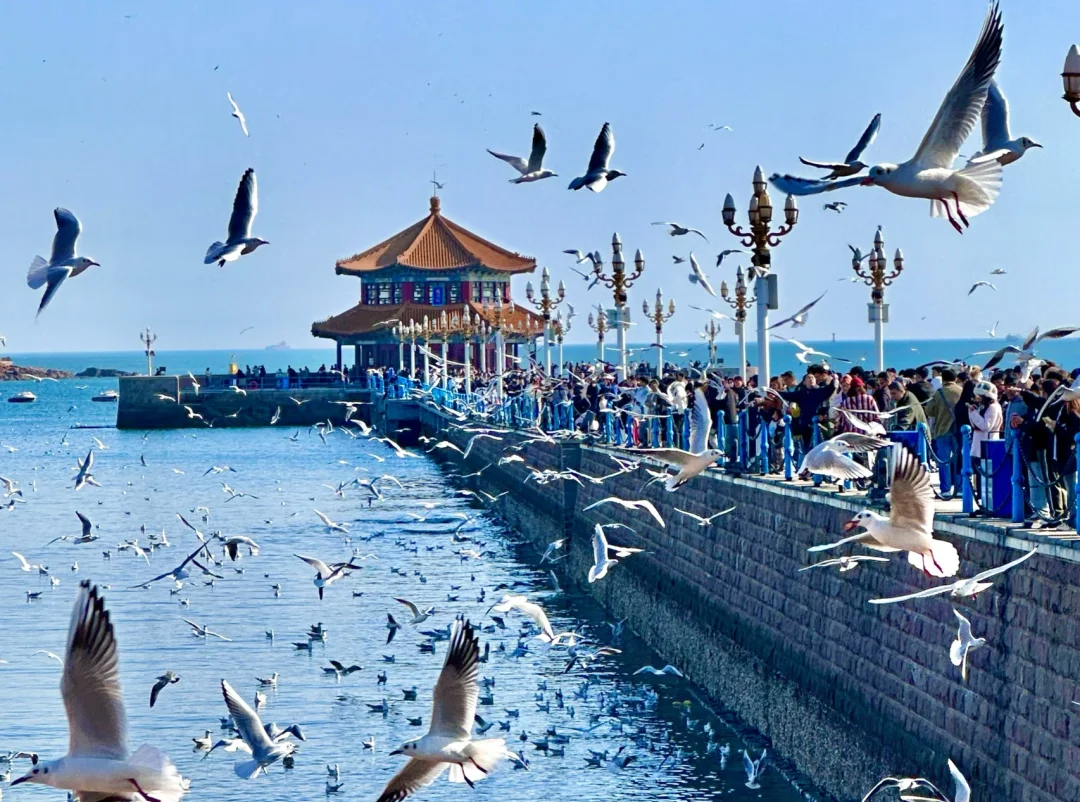 00000000VprbhqUuELhBDTmu