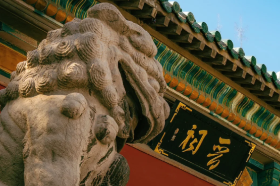 00000000VuvCDOmFuNkFRkqa