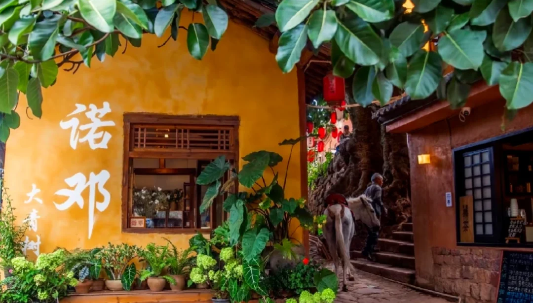 00000000WOqRvRwkardFVxHR