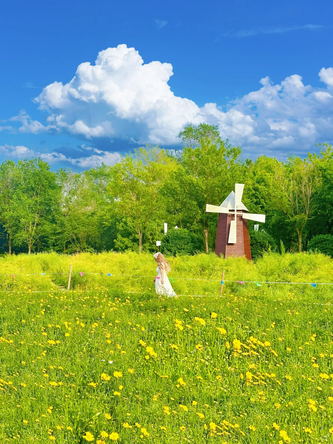 00000000WUxkXwPgpUIDMtTe