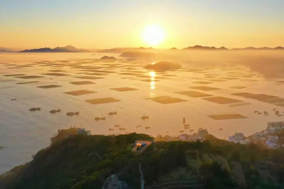 00000000WWWOUEeNkblehgCI