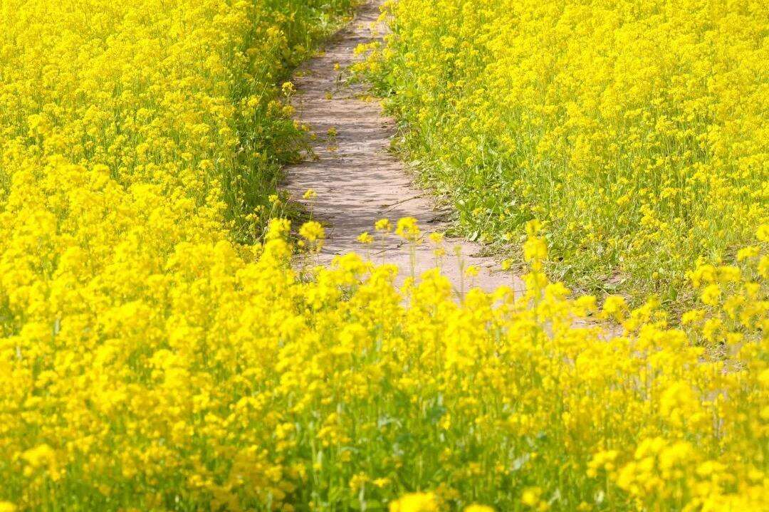 00000000WjePXmNTSGmvPlqG