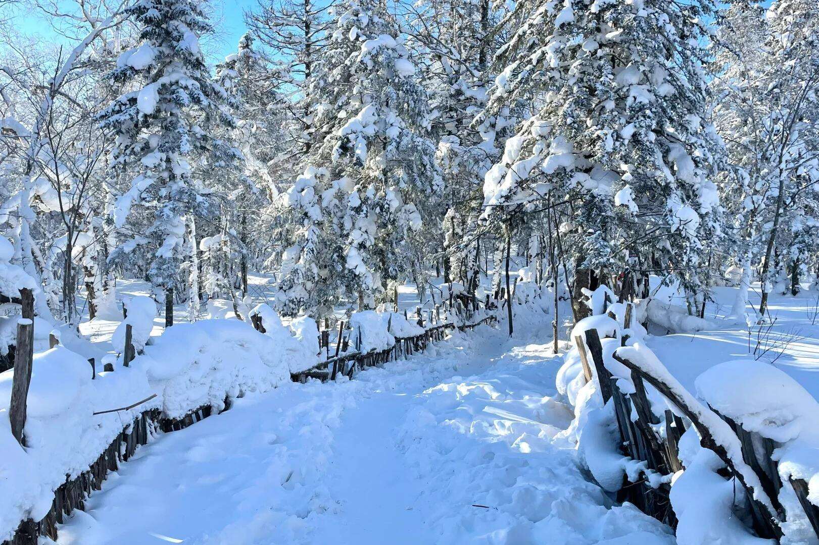 上海特价【放寒假去雪乡】“尔滨”开门迎qiě了！真正一价全含去雪乡，4+5钻大酒店+2+1头等舱+40元高餐标，娱雪全赠雪地摩托/冰雪画廊/梦幻家园/二人转/马拉爬犁