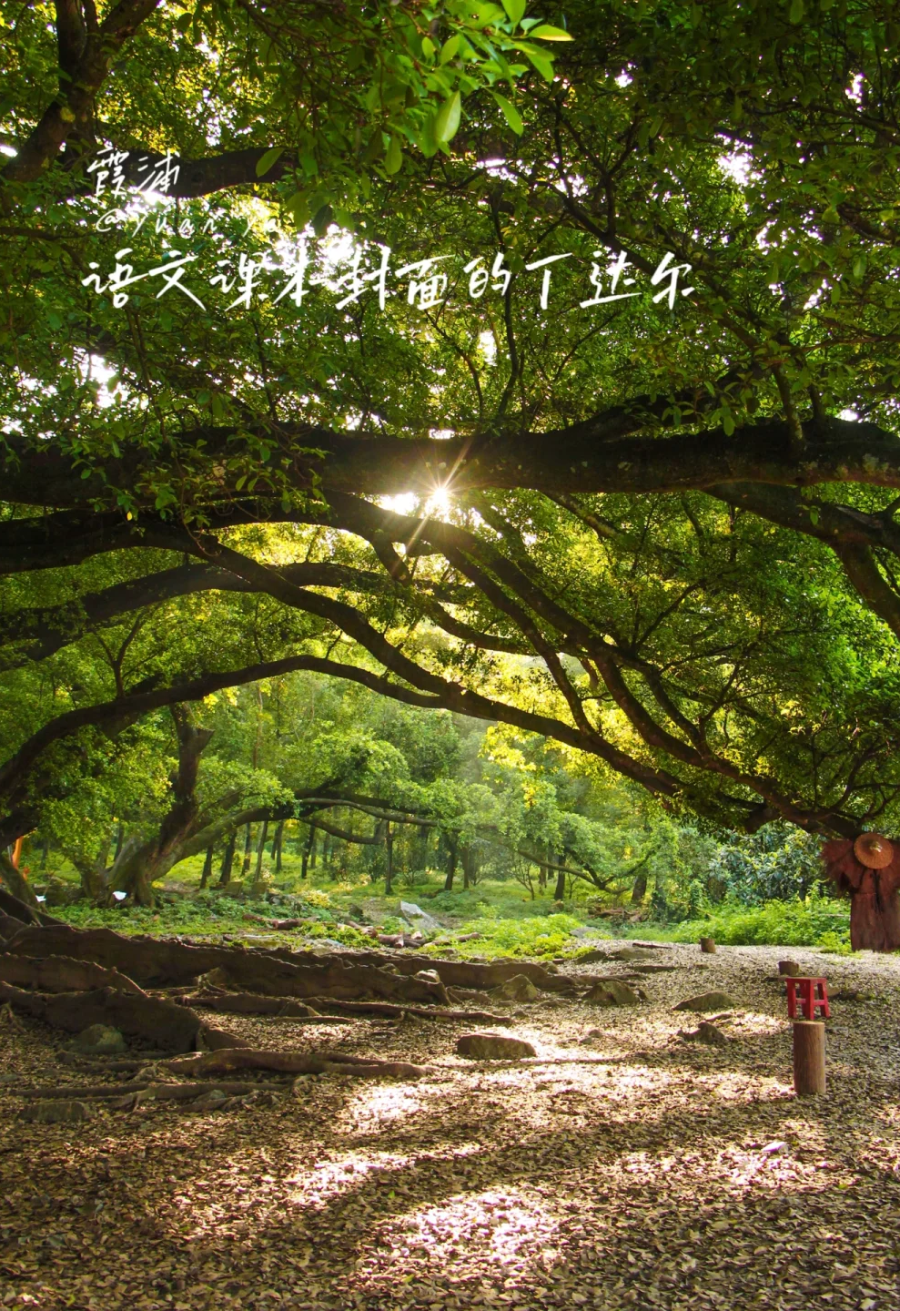 00000000WzMUxGcAhqMeAivo