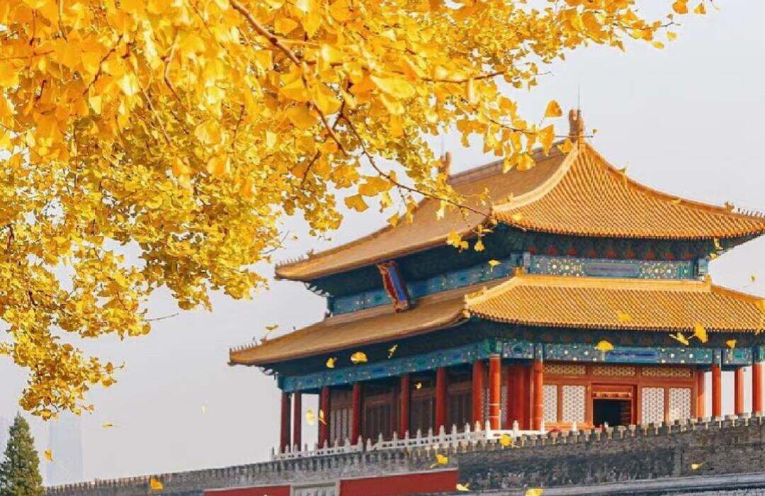 00000000XnPYKFdLFmimSkAW