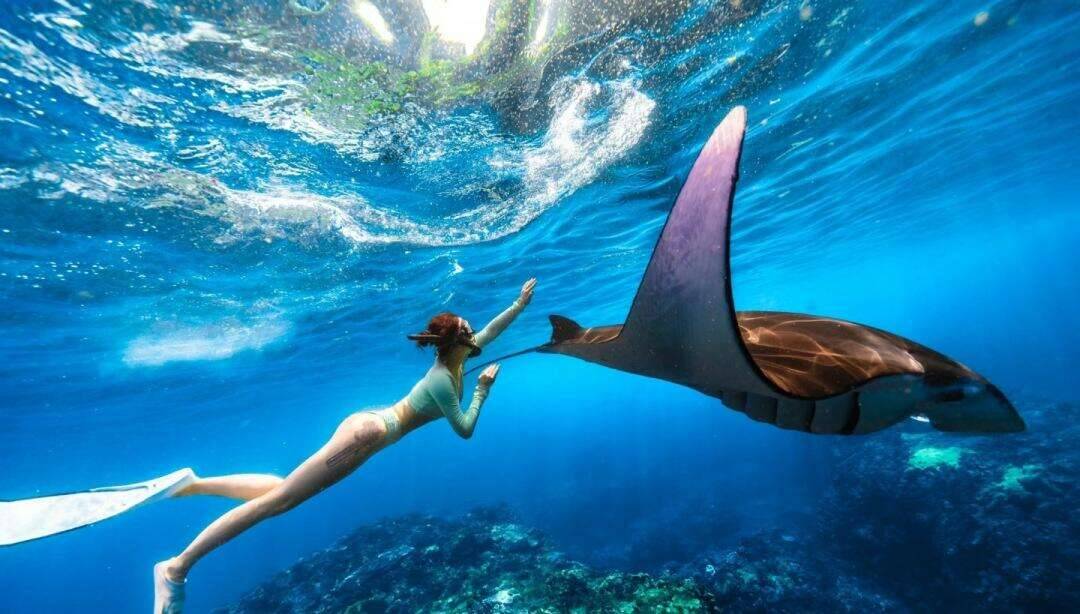 00000000XoloETVkytQJKUTi