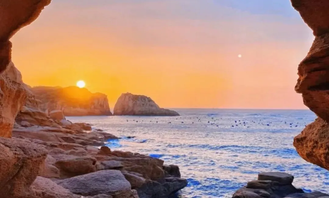 00000000YEREMQEKqVpmBZJs