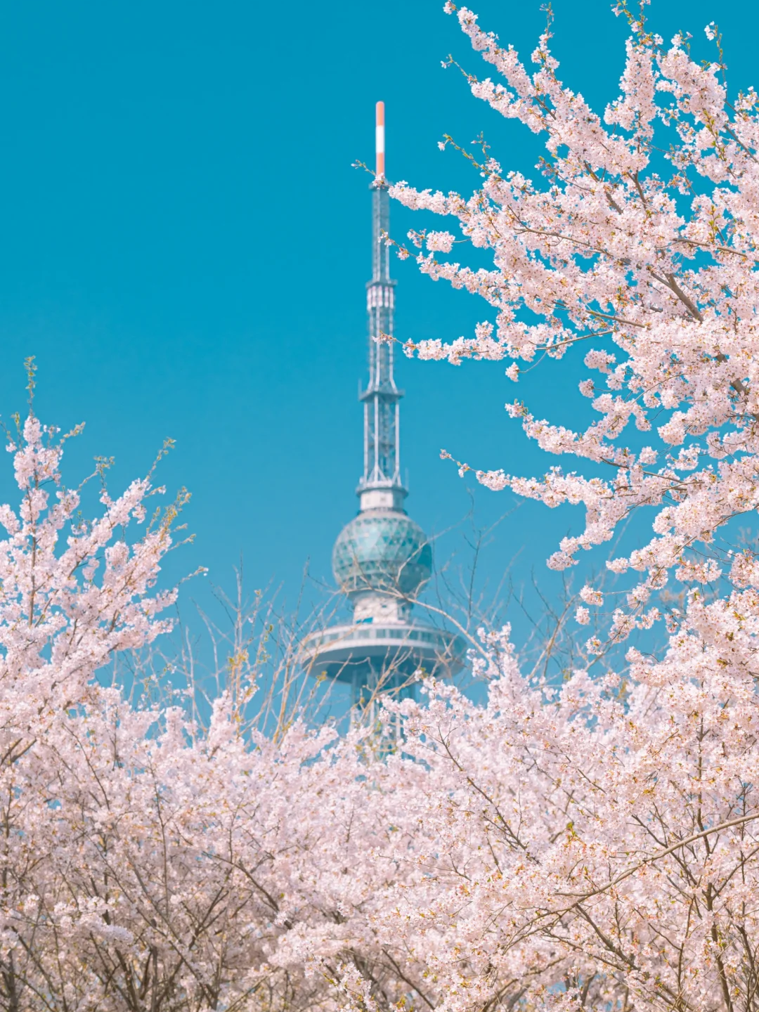 00000000YfczkHIBmSRtSMDL