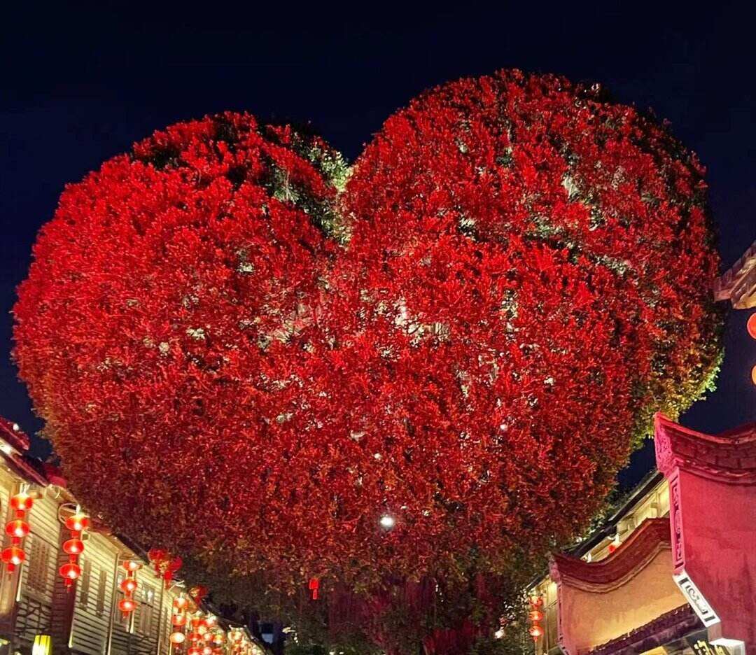 00000000YqXIEomNcBfiGCEG