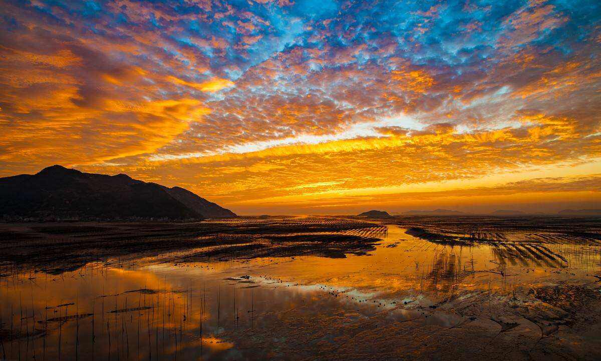 00000000YxAKpIkOaleNjsrB