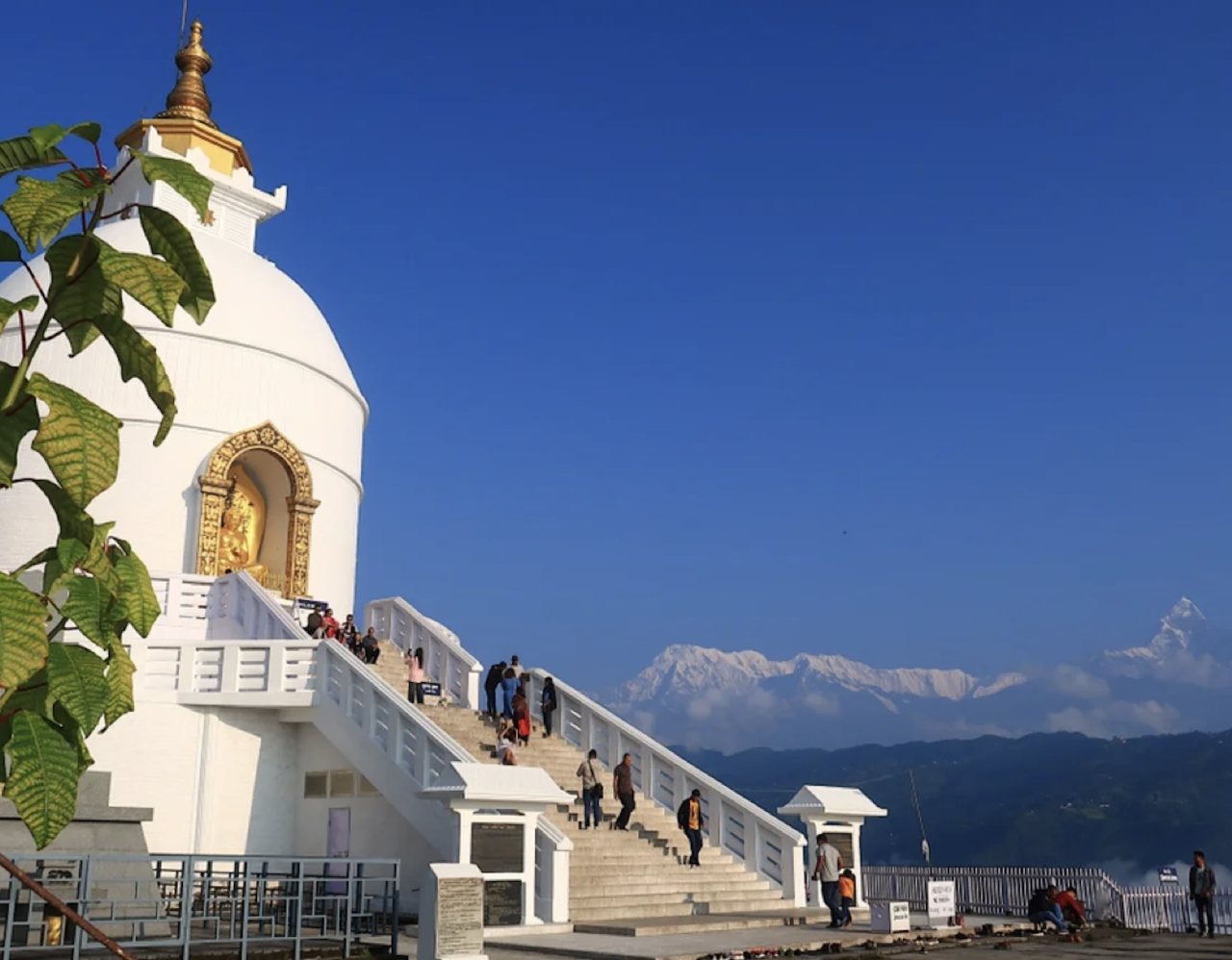 00000000ZMAgTqYLgWsJzSbd