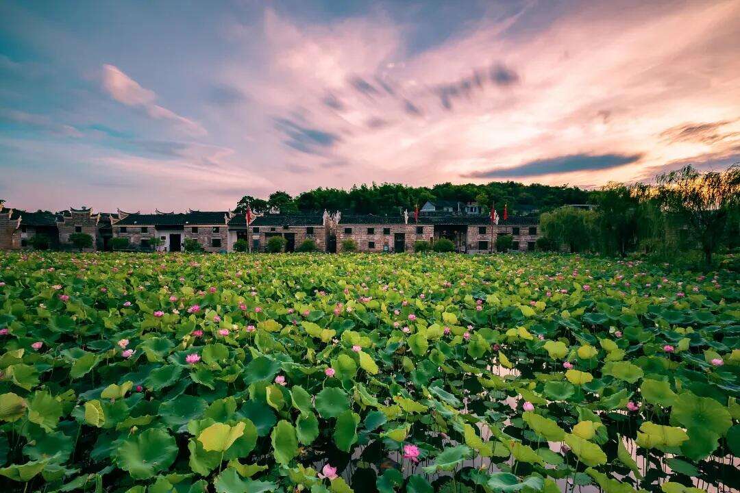 00000000ZRgGzcZqVgAcKNqa