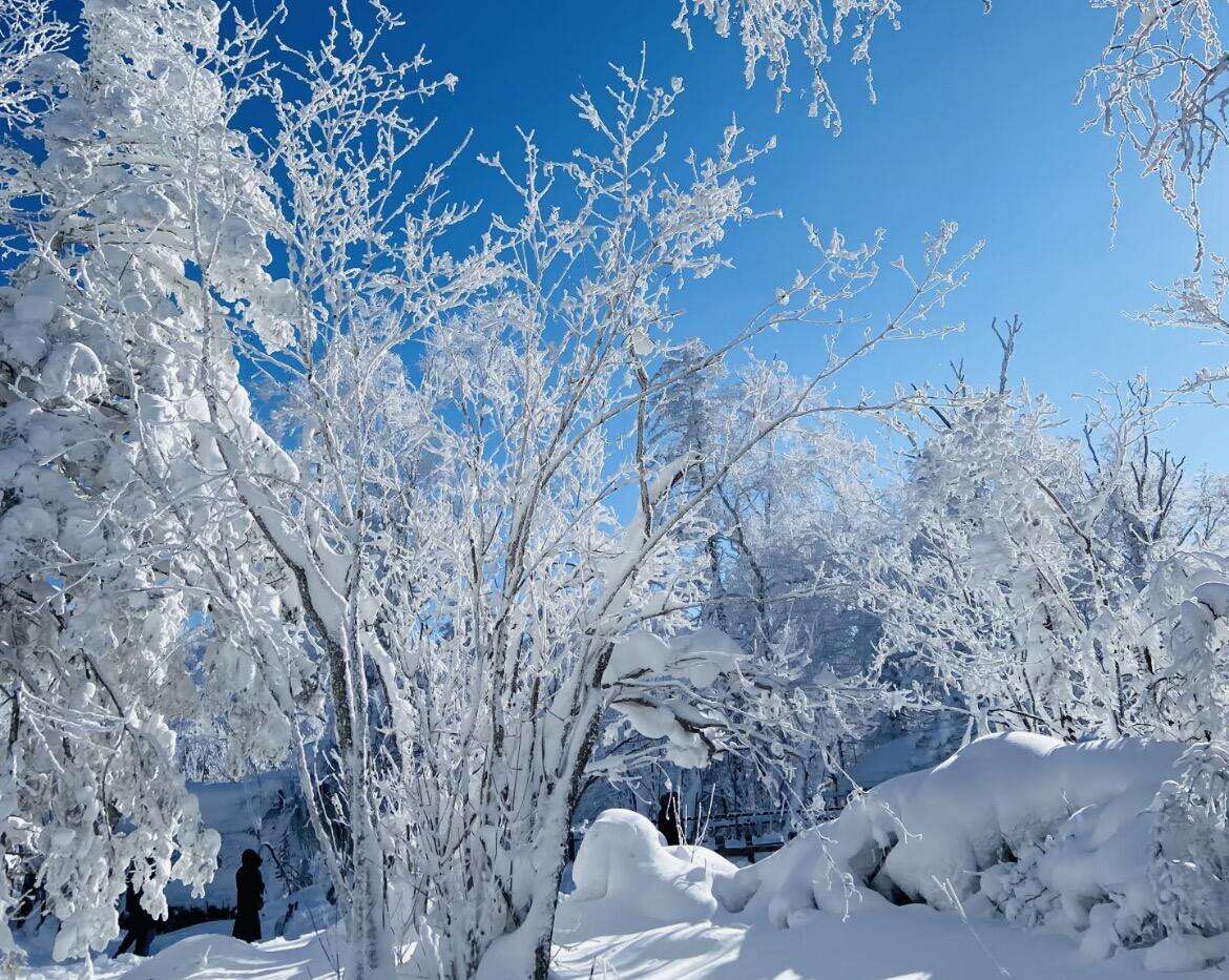 00000000ZcGFsTKfWvwzfuPQ