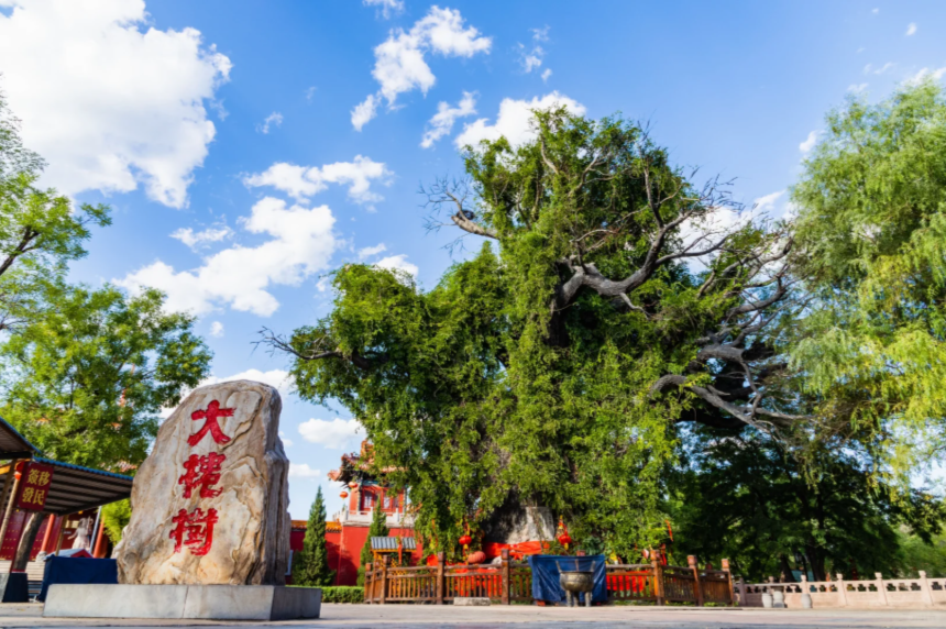 00000000ZdJOaTuxNZFPWilz