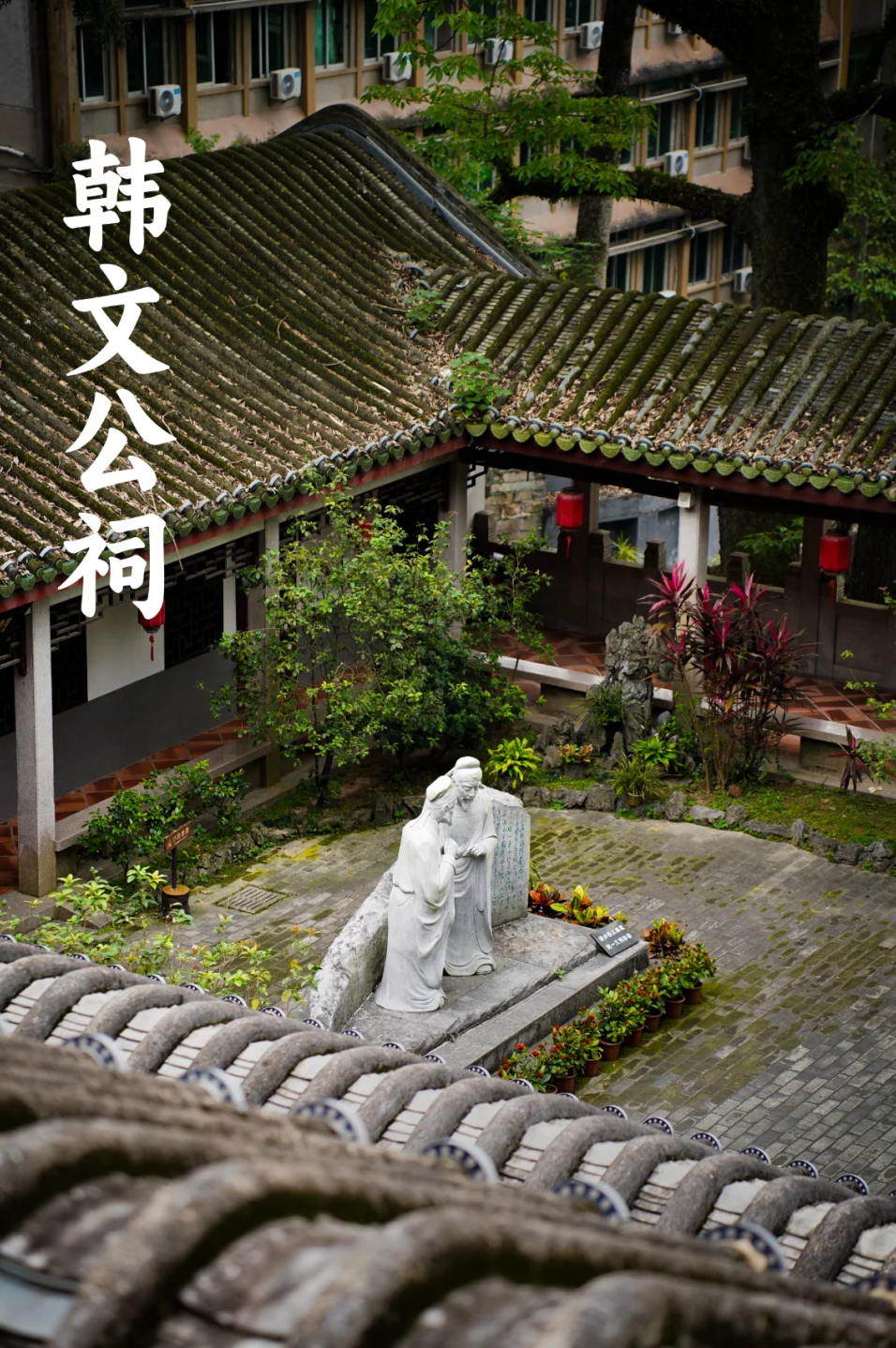 00000000ZuklnbhSYaXYRuOV