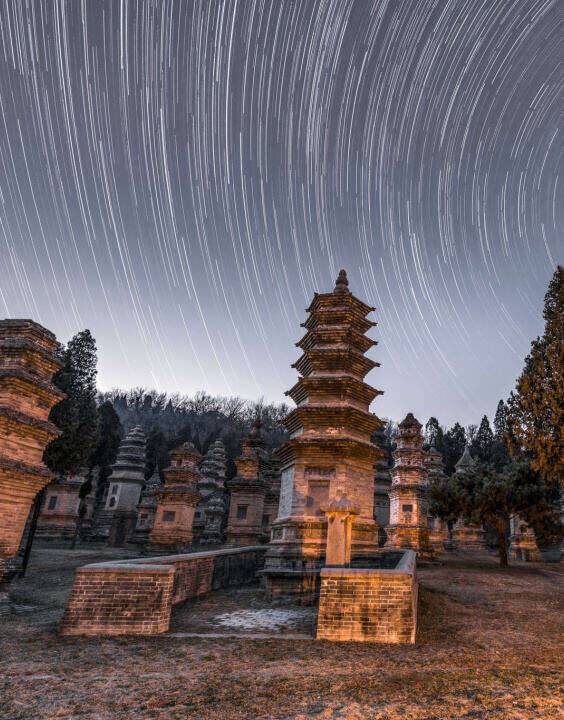 1980元洛阳花时【河南全景双卧8日游】