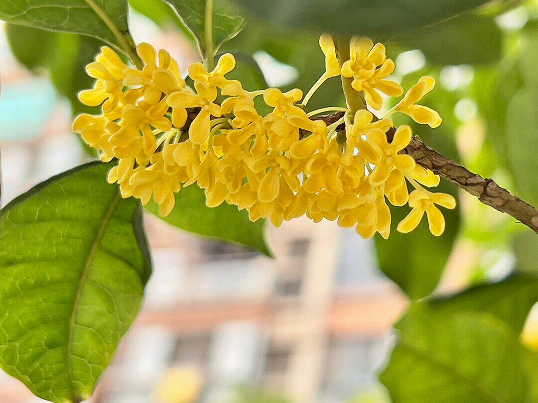 00000000aVebhduYHbMKBRbd