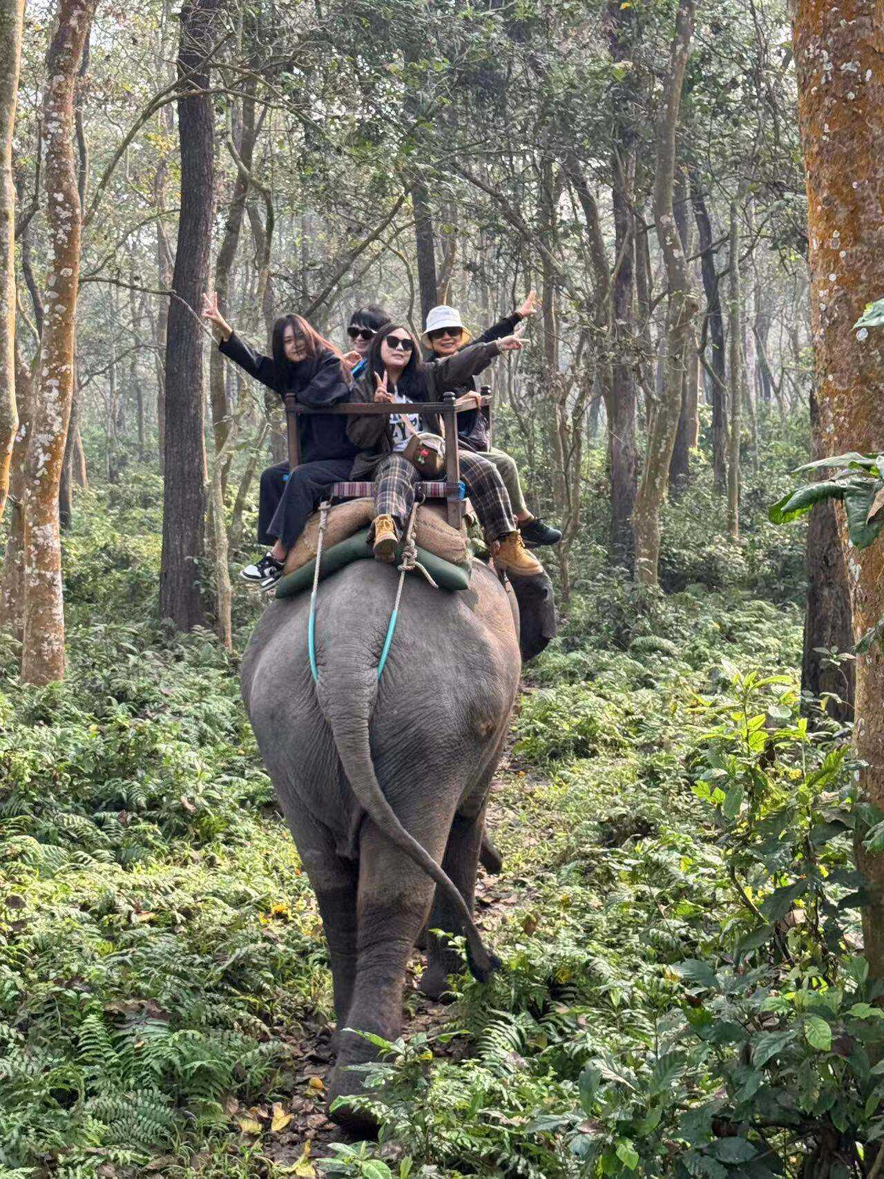 00000000ahSovPlEInlmJBzy