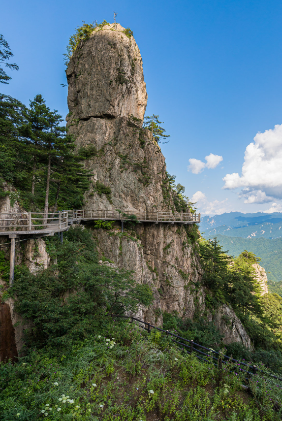 00000000azwzfrraiGpCOhsg