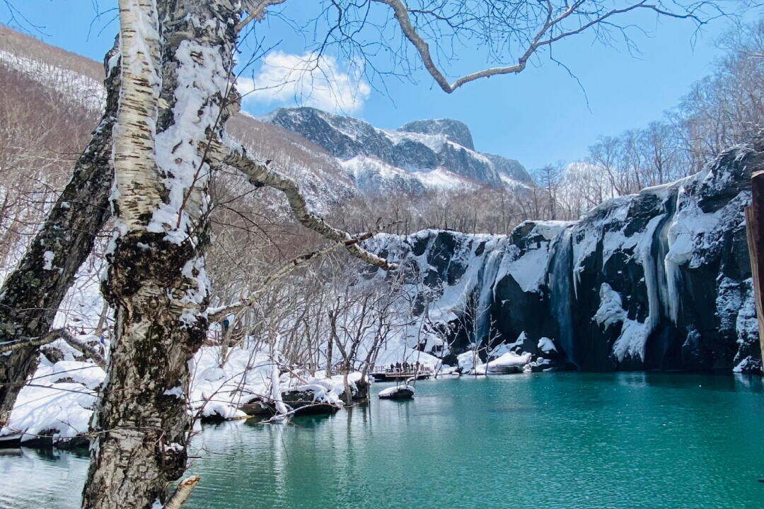 00000000bGhJJIBujVoTmnAr