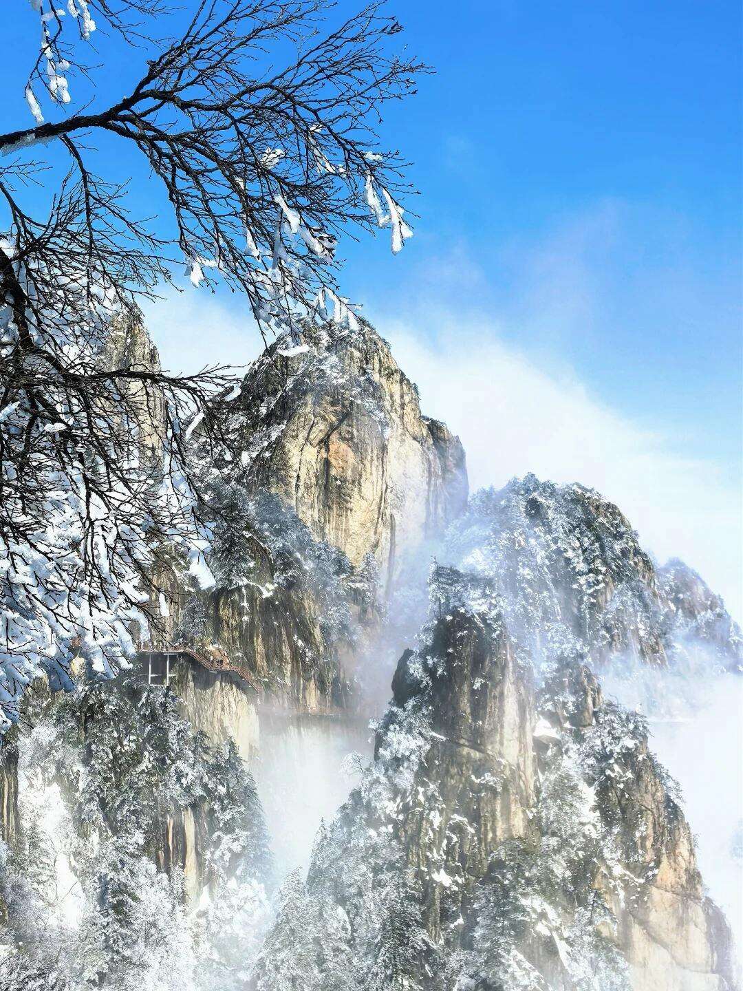 00000000bKatIGBGvoblcqiJ