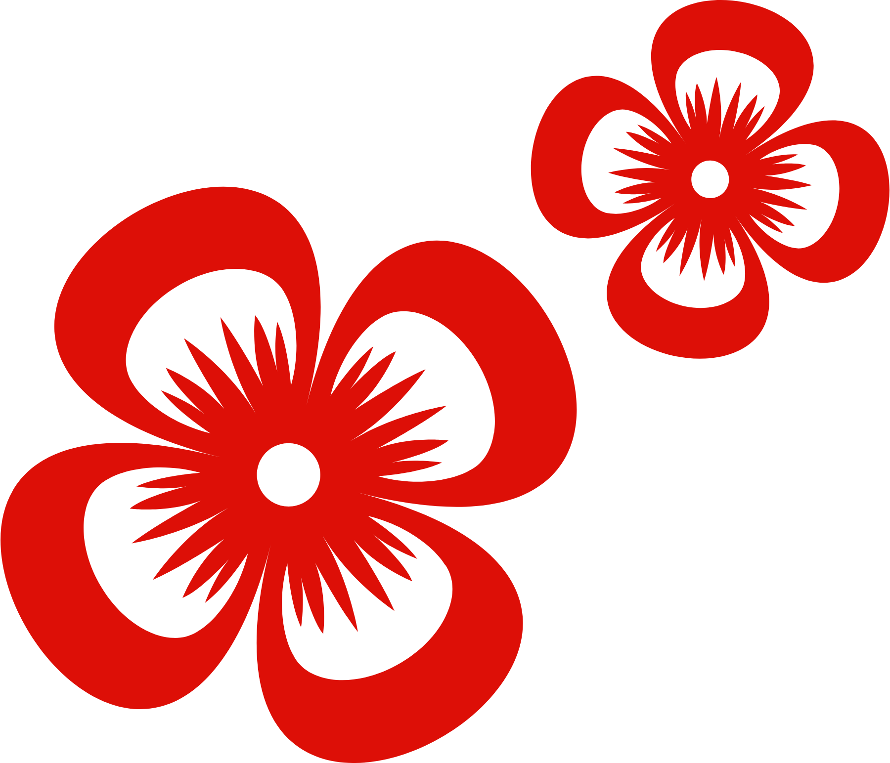 00000000bZWgKDdRsDsOHaKi