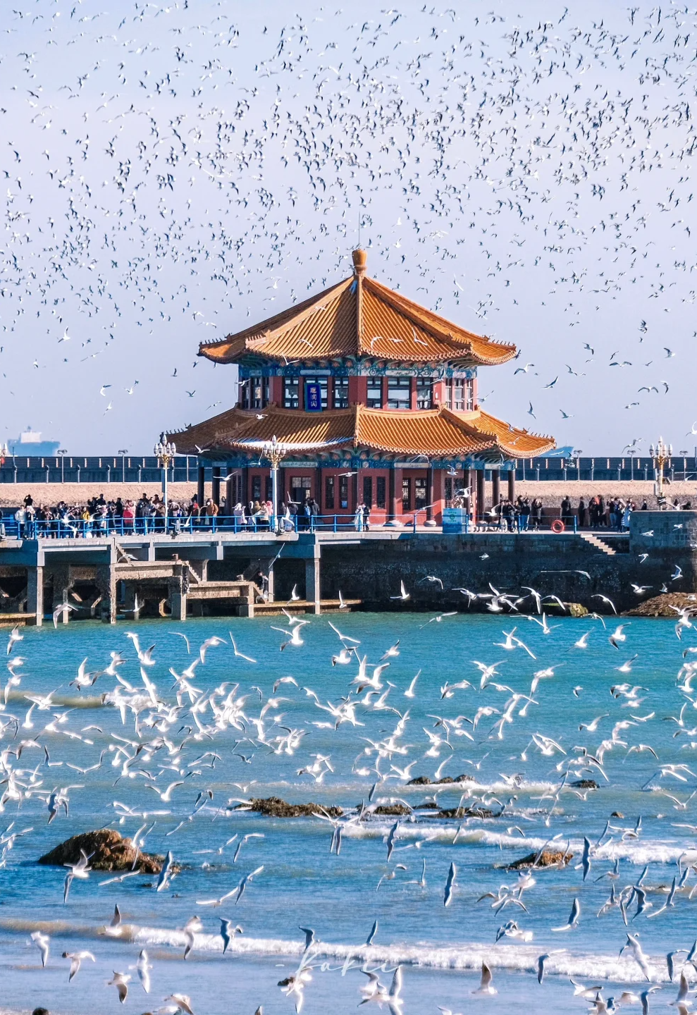 00000000bcdpdUbnNKHbcgAl