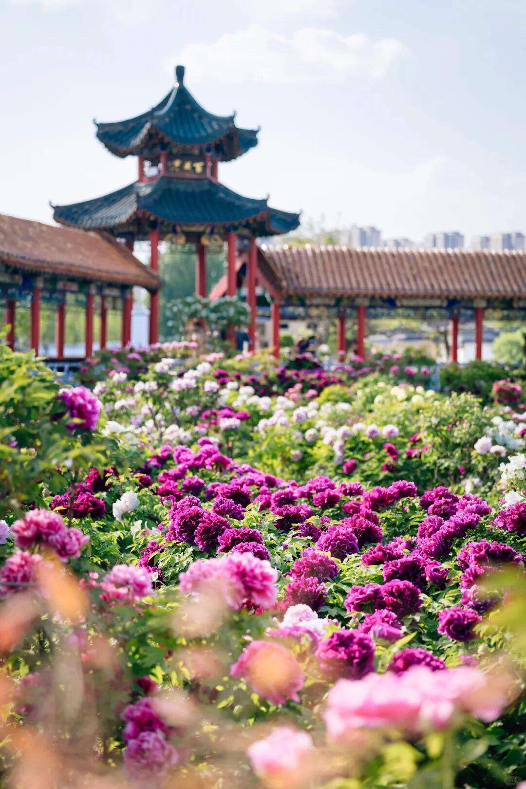 00000000bgwKyqdptFAFmLYX