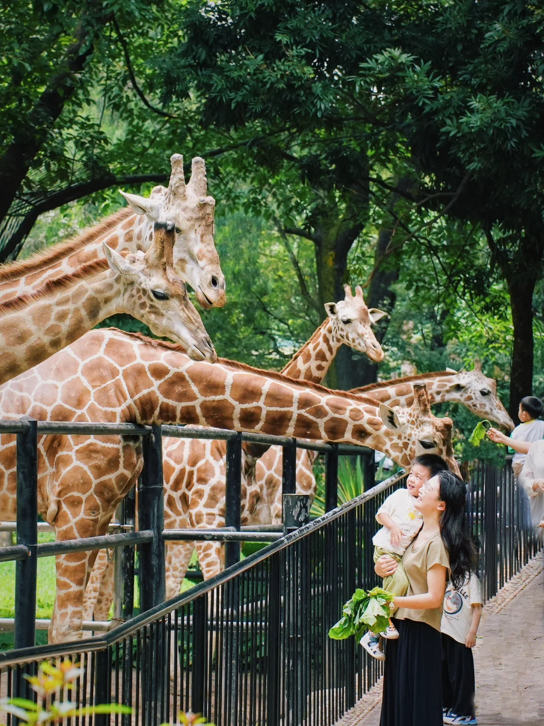 00000000bkGHxCbzzivUFguR