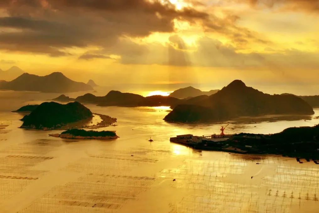 00000000bsnMtSmZtvUmOgOl