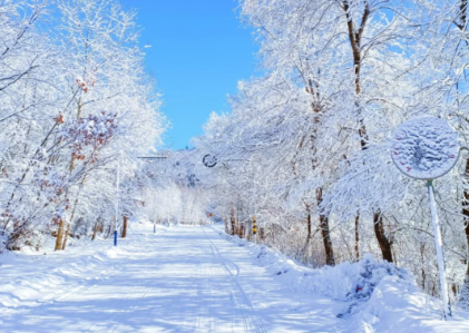 00000000cKUuWdyxUkekpJBD