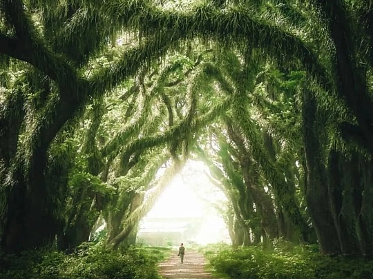 00000000cPcBoCwcDNosqSWV