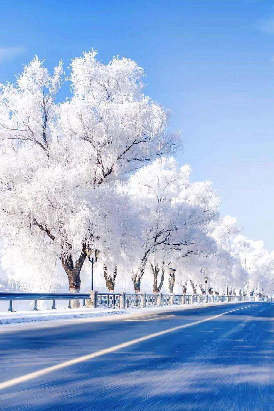 00000000cUPrHaXwcnESnRko