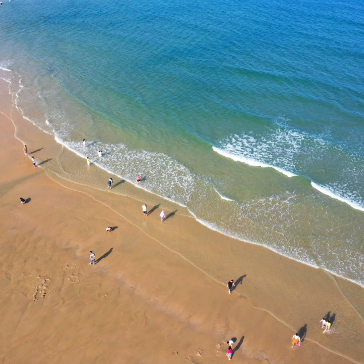 00000000czNcPQBImpCHQnBf