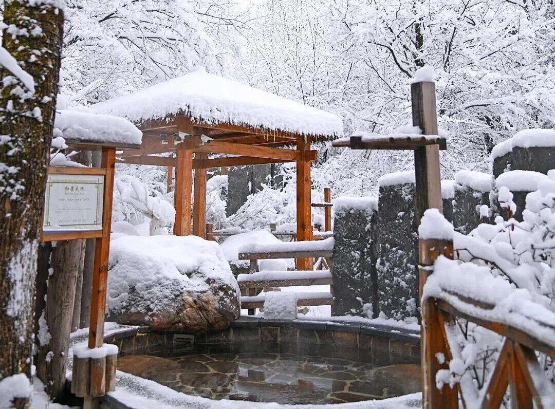 00000000czpDTNjIFtFWqSWL