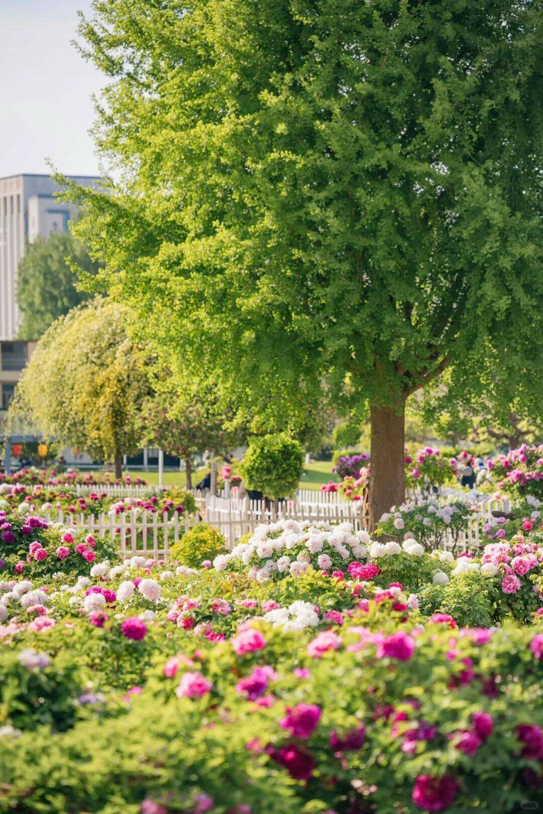 00000000dQLRmwiMhrSCrhXv