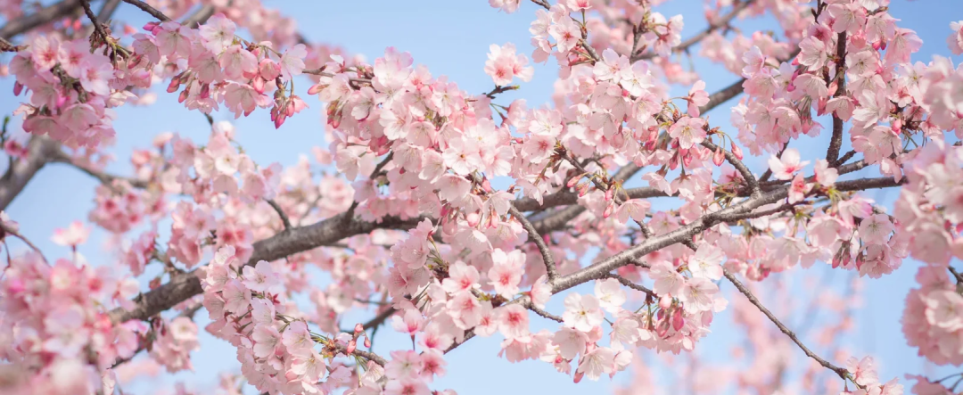 00000000deFyNKNmQlEtxwIN