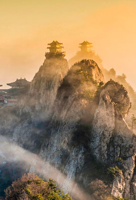 00000000dvdOmzeWoPgzPnnx