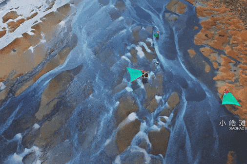 00000000dwWsiyznrzbbGvfR