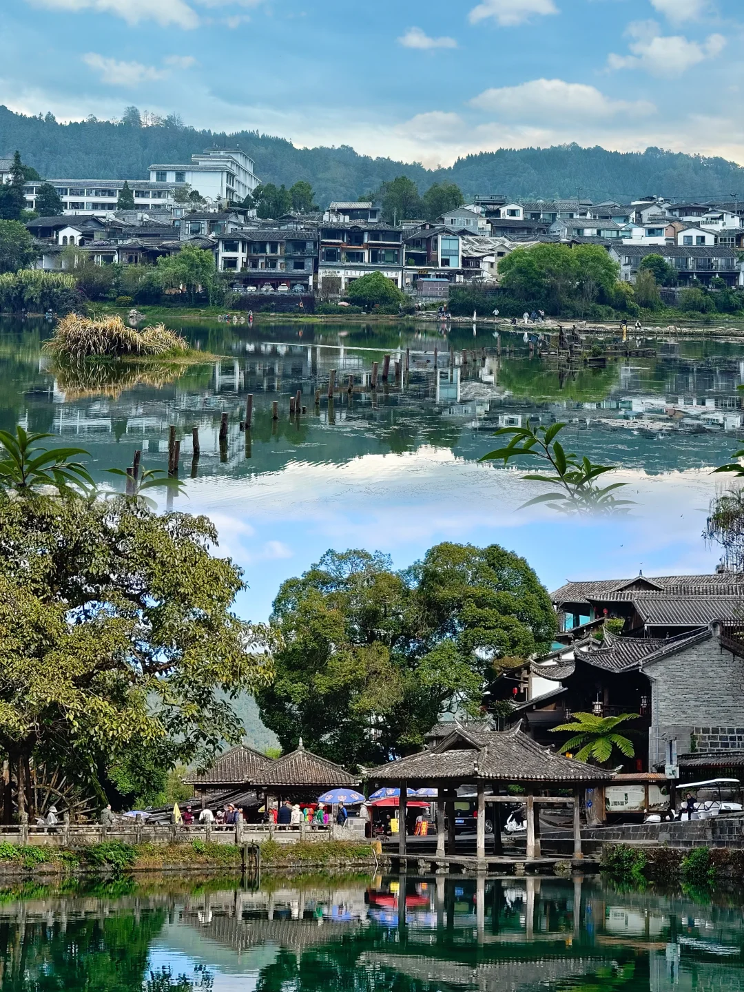 00000000eaqVzfLxmNVttNqD