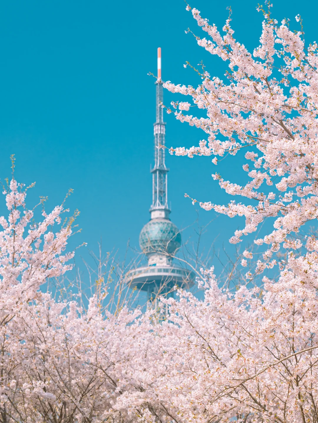 00000000eeSzdhzBiqSIOztr