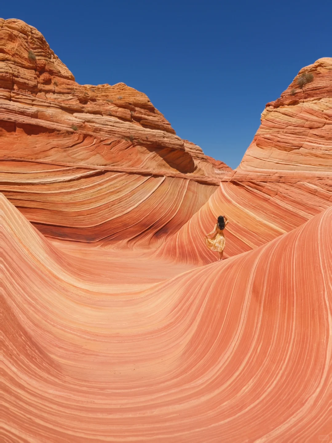 00000000exPpSwyBTjQytdLO 00000000exPpSwyBTjQytdLO