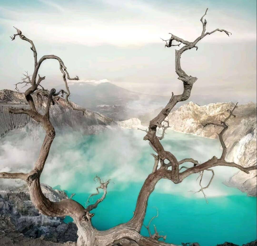 00000000eyvDJPdoMTPizYUA