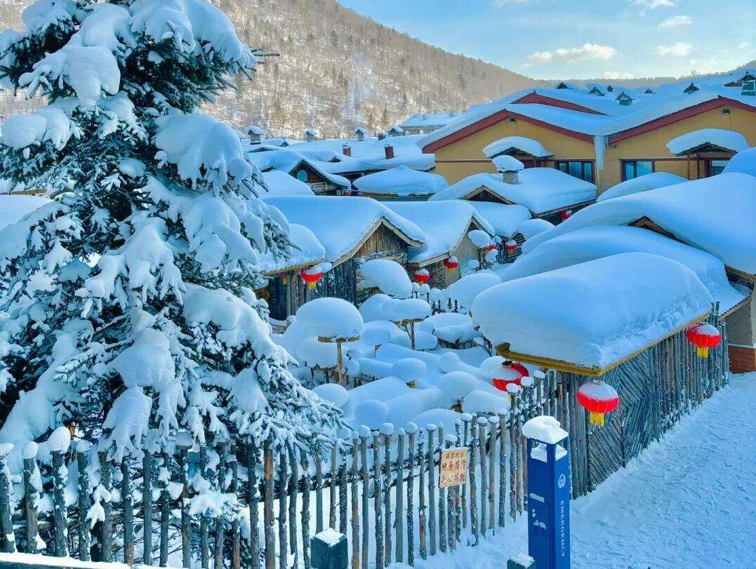 00000000fDvmPLkvbpjIcFIl