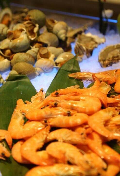 00000000fSGIJcFRkKdEOYuc