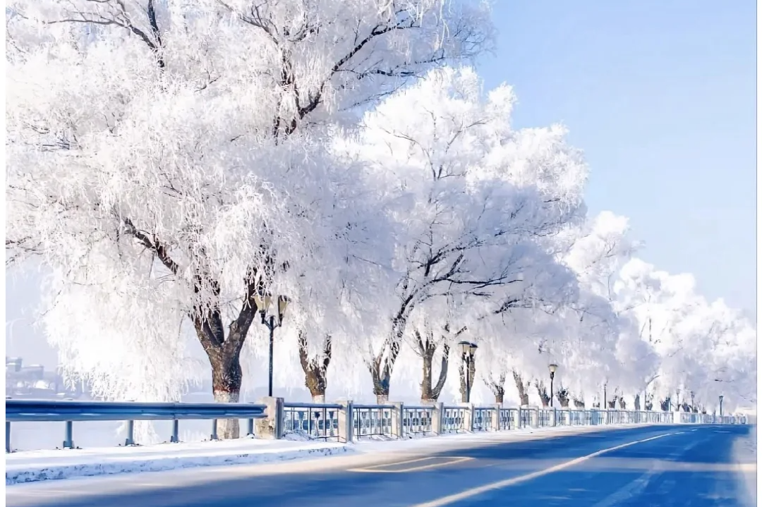 00000000gLRArwHIrpYFlfmE