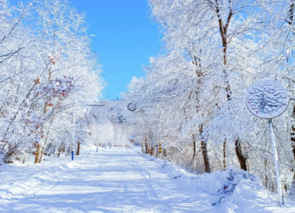 00000000gVkhOTjMrHSyWczj